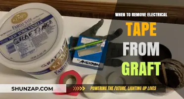Electrical Tape Removal: Timing for Fruit Tree Grafts