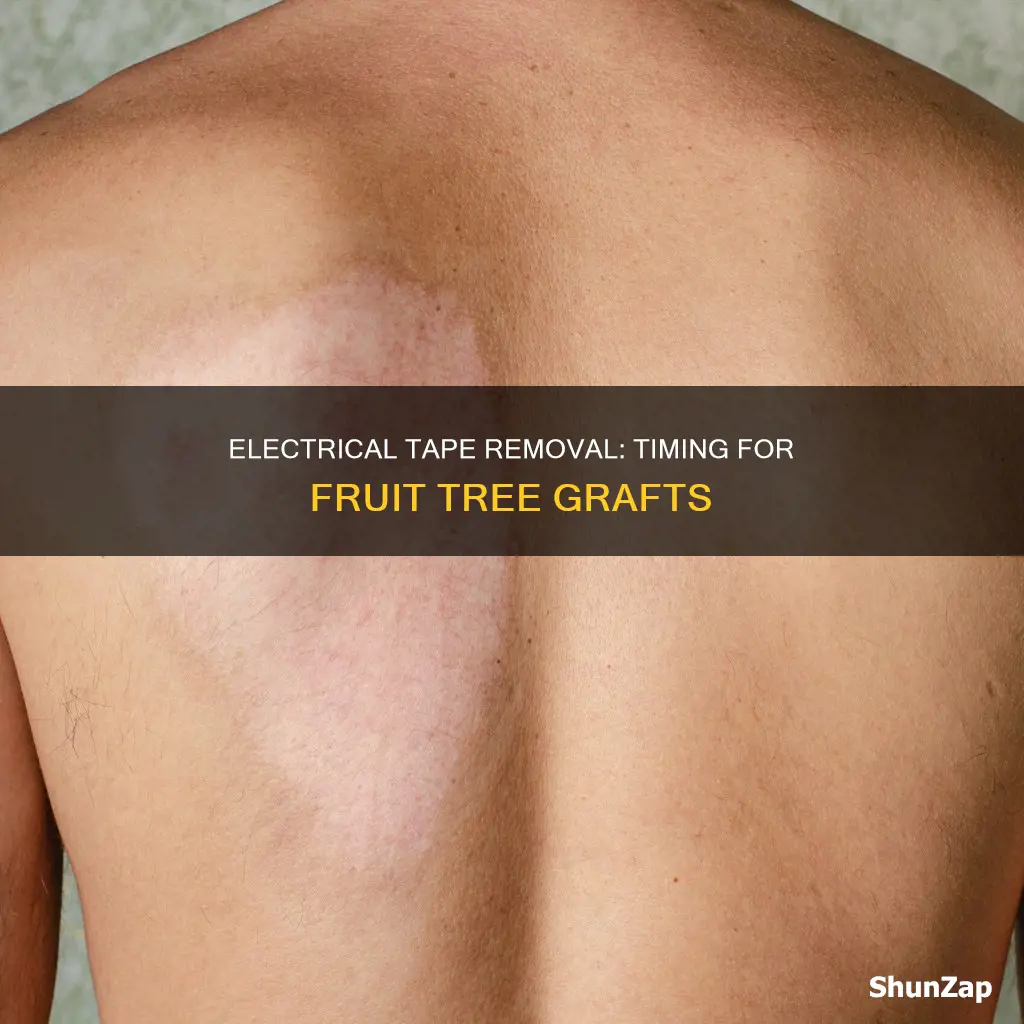 when to remove electrical tape from graft