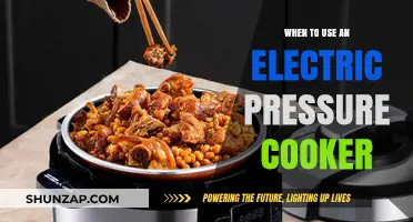 Electric Pressure Cooker: Perfect Timing for Quick, Delicious Meals