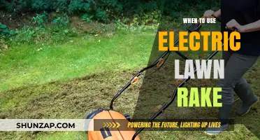When to Use an Electric Lawn Rake for Optimal Results