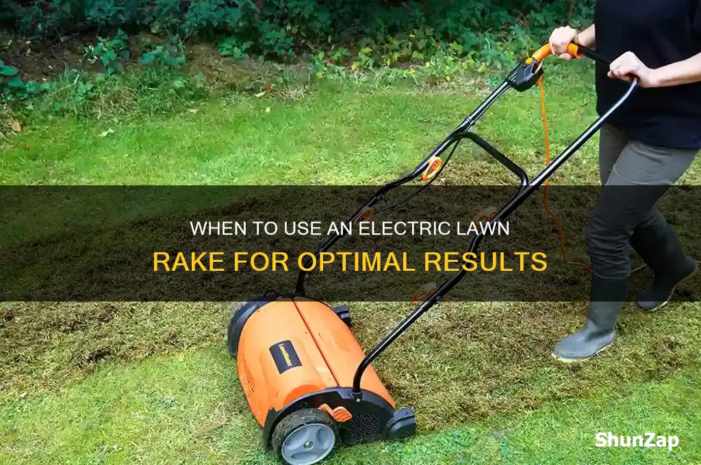 when to use electric lawn rake