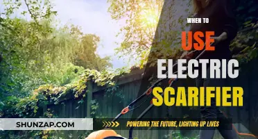 Electric Scarifier: When and Why to Use It for Lawn Care