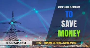 Smart Electricity Usage: Timing Tips to Cut Costs and Save Money
