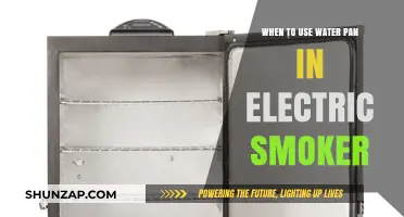 When to Use a Water Pan in Your Electric Smoker