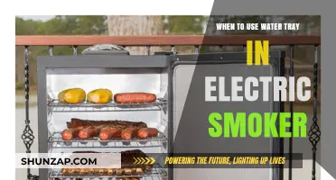 Mastering Moisture: When to Use a Water Tray in Electric Smoking