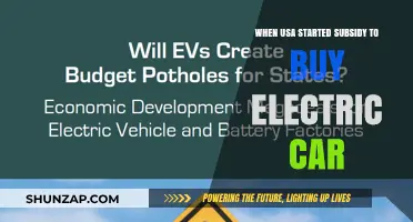 When Did the USA Begin Subsidizing Electric Vehicle Purchases?