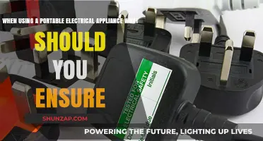 Portable Appliance Safety: Key Checks Before Use