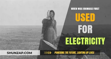 Biomass Power: Tracing the Origins of Electricity Generation