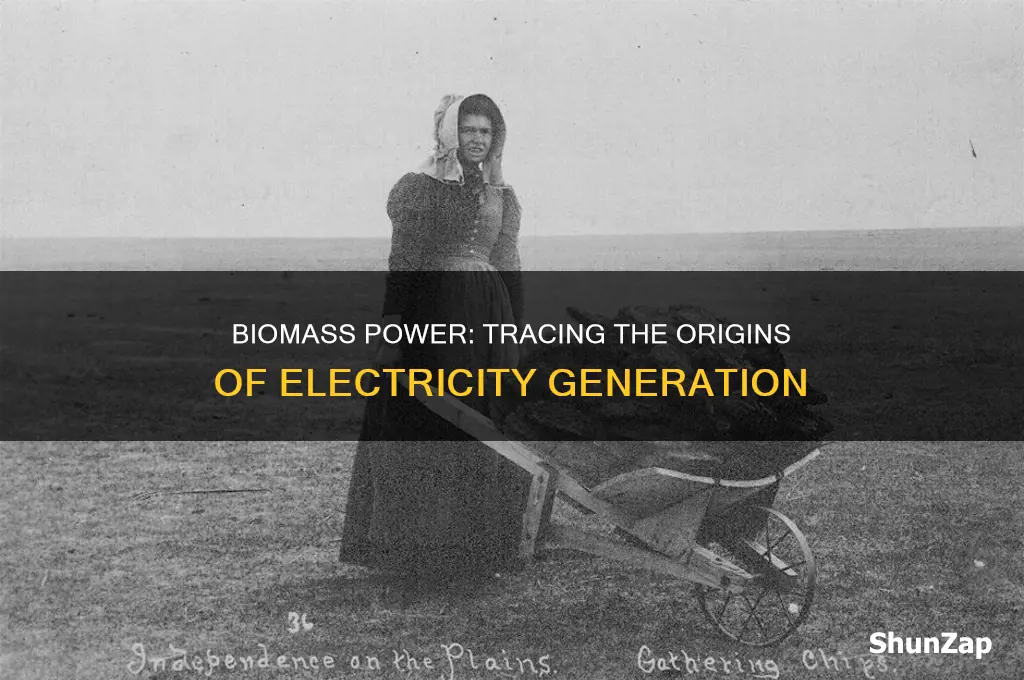 when was biomass first used for electricity
