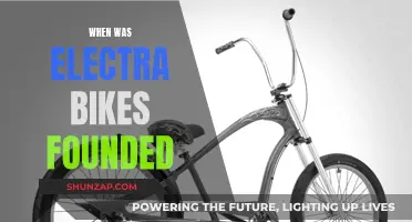 Electra Bikes: Founding Story and History