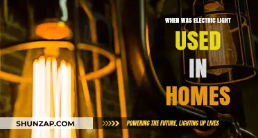The Dawn of Electric Light in Residential Homes: A Historical Overview