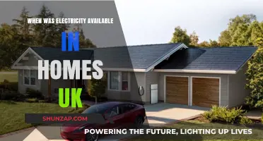 Electricity in UK Homes: A Historical Perspective