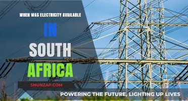 Electricity in South Africa: A Historical Overview