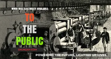 Electricity's Public Debut: A Historical Perspective
