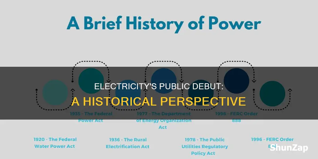 when was electricity available to the public
