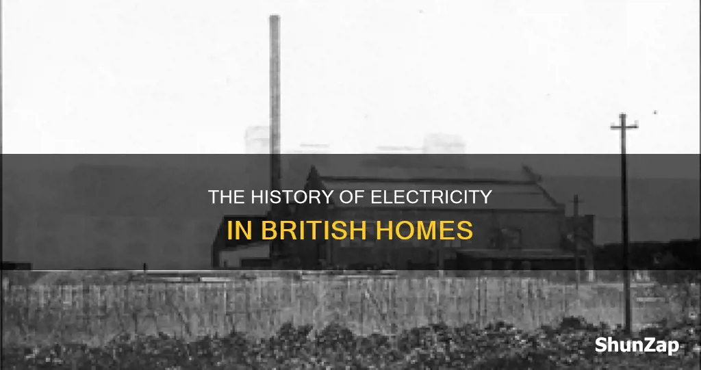 when was electricity common in households britsin