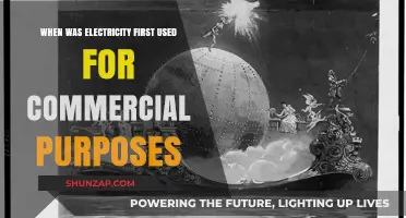 The Dawn of Commercial Electricity: A Historical Milestone
