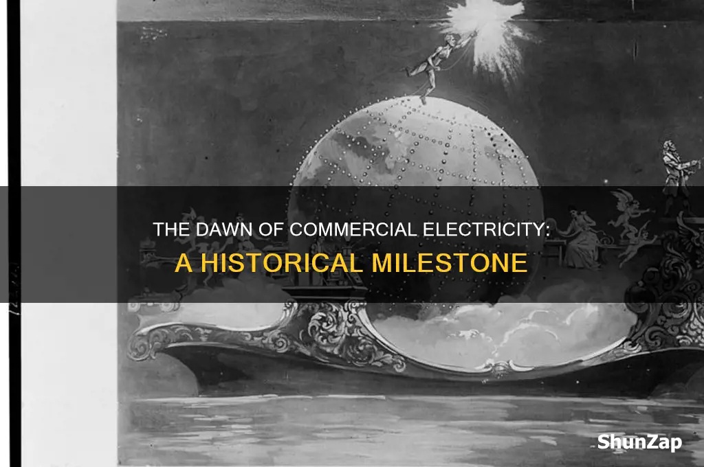 when was electricity first used for commercial purposes