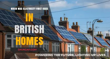 When British Homes First Lit Up: The Dawn of Domestic Electricity