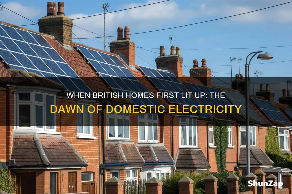 when was electricity first used in british homes