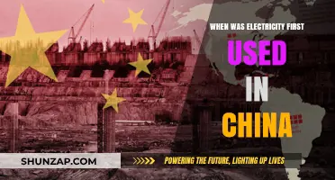 China's Electrification: The Dawn of Power and Progress