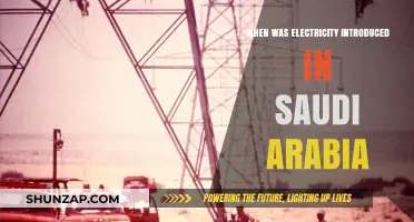 Electricity's Arrival in Saudi Arabia: A Historical Perspective
