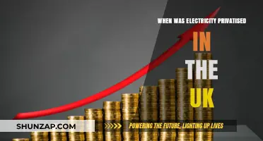 The UK's Electricity Privatisation: A Historical Overview