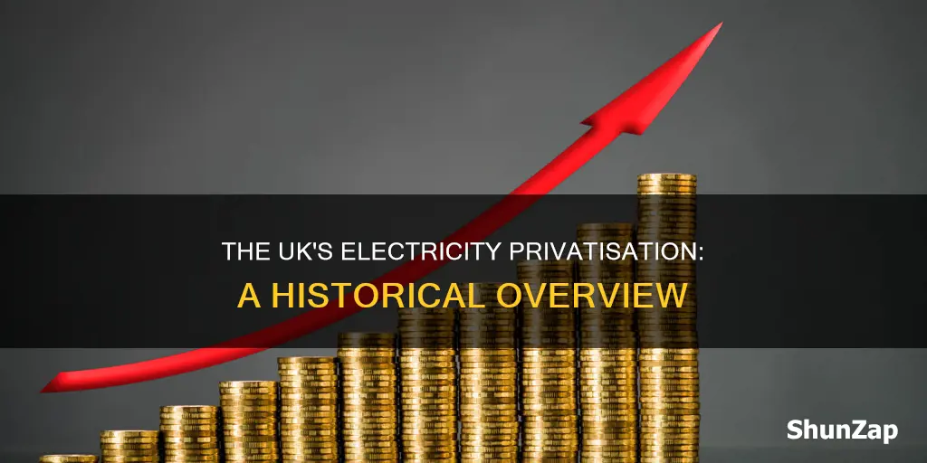 when was electricity privatised in the uk