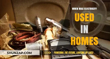 When Homes Lit Up: The Dawn of Domestic Electricity Use