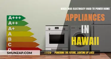 Hawaii's Electrification: When Homes Embraced Appliance Power Revolution