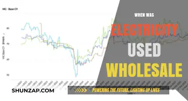 The Wholesale Electricity Revolution: A Historical Timeline of Power Distribution