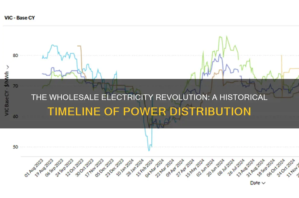 when was electricity used wholesale