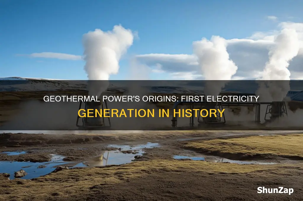 when was geothermal energy first used for electricity