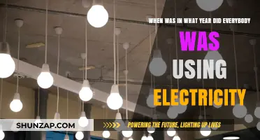 The Year Electricity Became Universal: A Historical Perspective