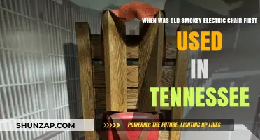 Old Smokey's First Use: Tennessee's Electric Chair Debut