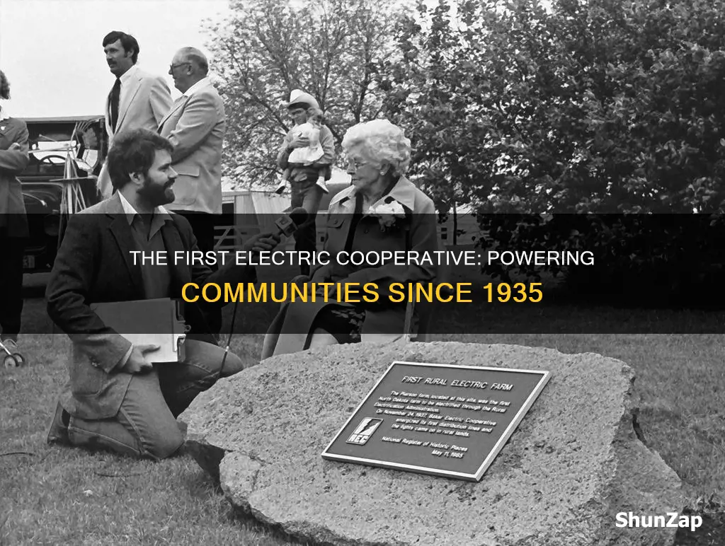 when was tge first electric cooperative started