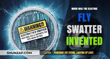 The Electric Fly Swatter: A Historical Invention