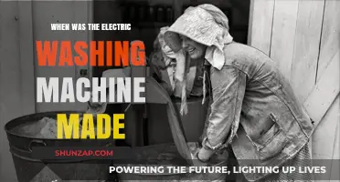 The Electric Washing Machine: A Historical Overview