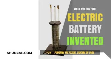 The Electric Battery's Inception: A Historical Overview