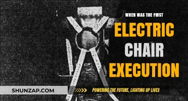 The Electric Chair's Dark History: A First Glimpse