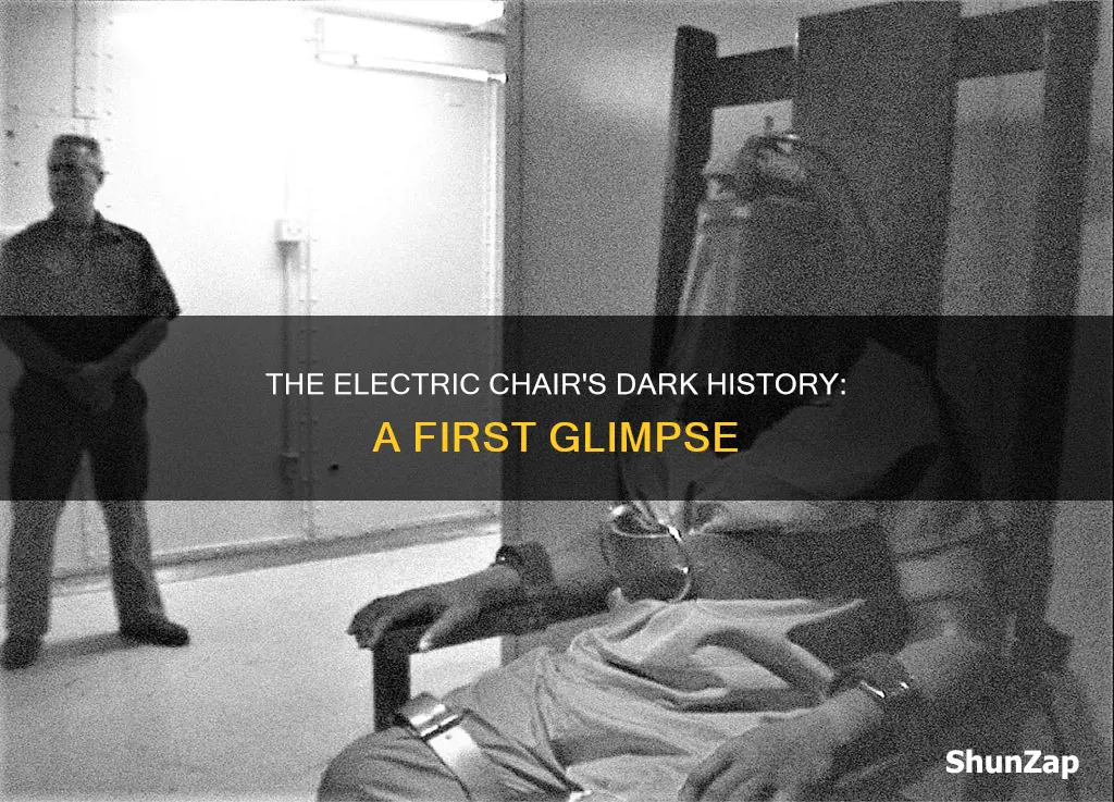 when was the first electric chair execution