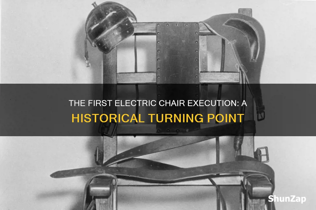 when was the first electric chair used