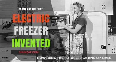 The Electric Freezer's Invention: A Historical Perspective