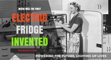 The Electric Fridge: A Historical Invention