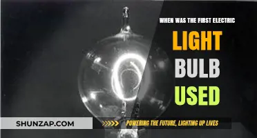 The Dawn of Electric Lighting: First Light Bulb's Historic Use