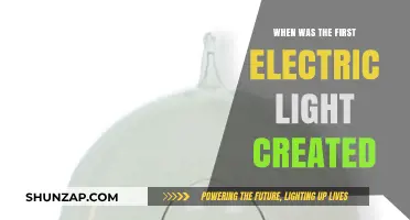 The First Electric Light: A Historical Perspective