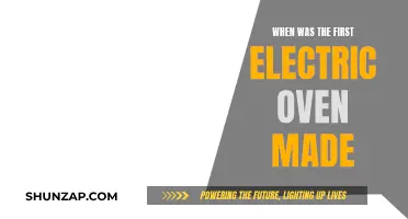 The Evolution of Electric Ovens: A Historical Perspective