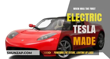 The Birth of Tesla: Unveiling the First Electric Model