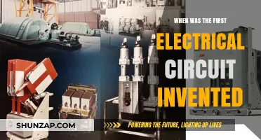 The First Electrical Circuit: A Historical Overview