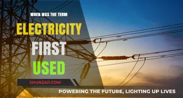 Unveiling the Origins: When Was the Term Electricity First Used?